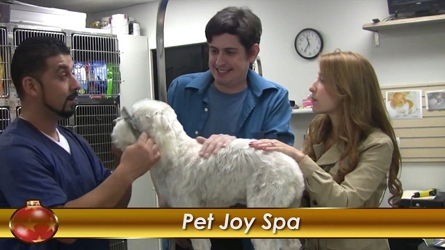 Pet Joy Spa